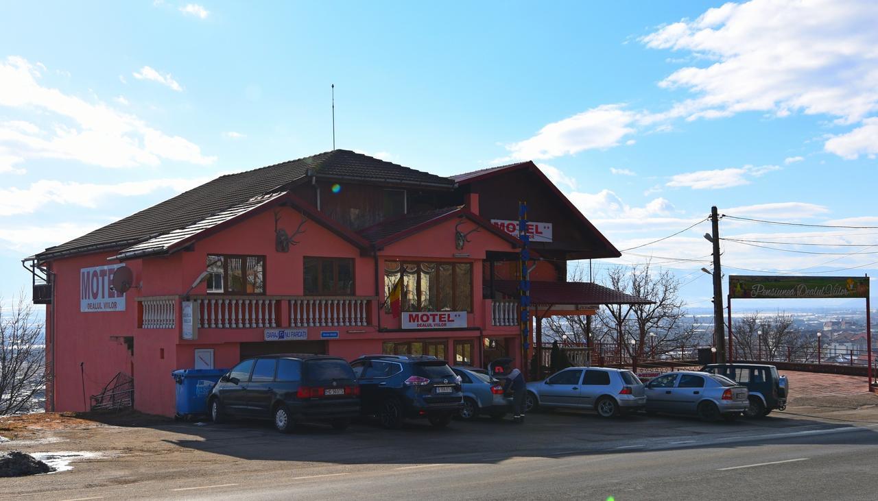 Pensiunea Dealul Viilor Deva Exterior foto